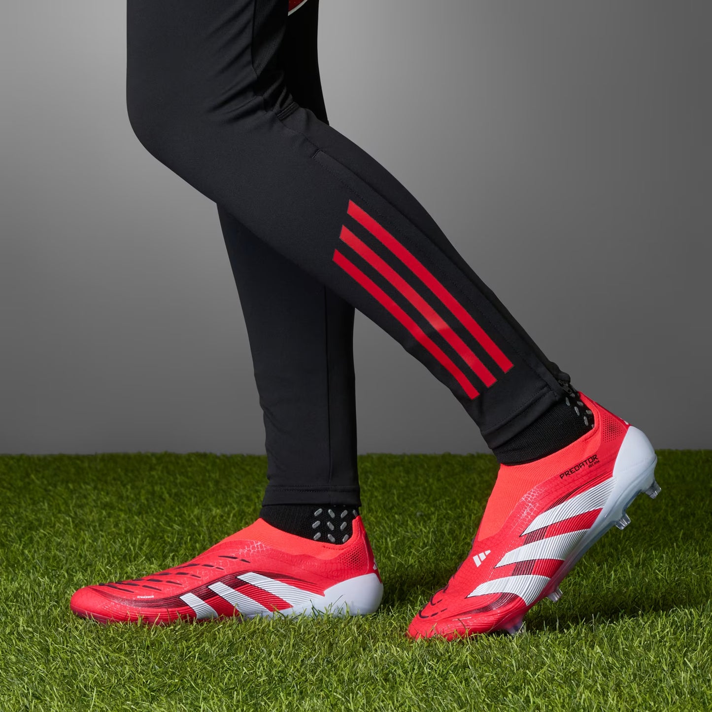 Adidas Predator Laceless Elite