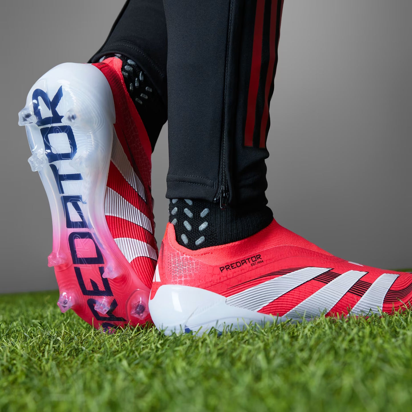 Adidas Predator Laceless Elite
