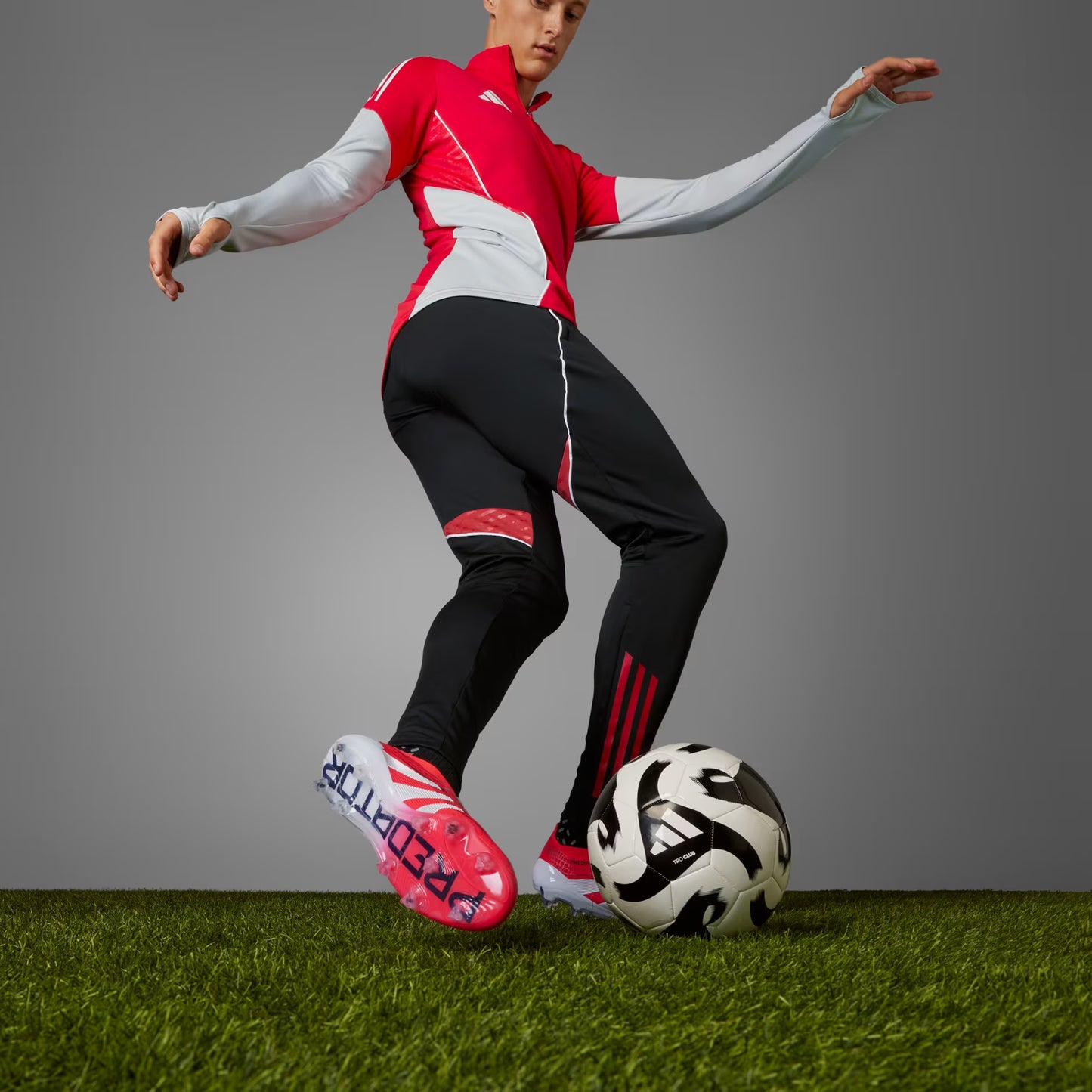 Adidas Predator Laceless Elite